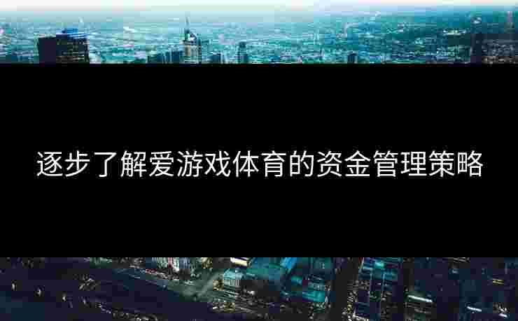 逐步了解爱游戏体育的资金管理策略