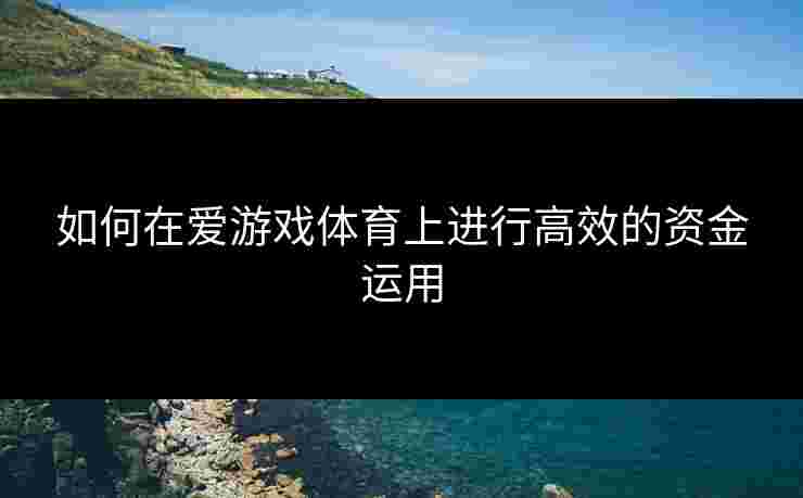 如何在爱游戏体育上进行高效的资金运用