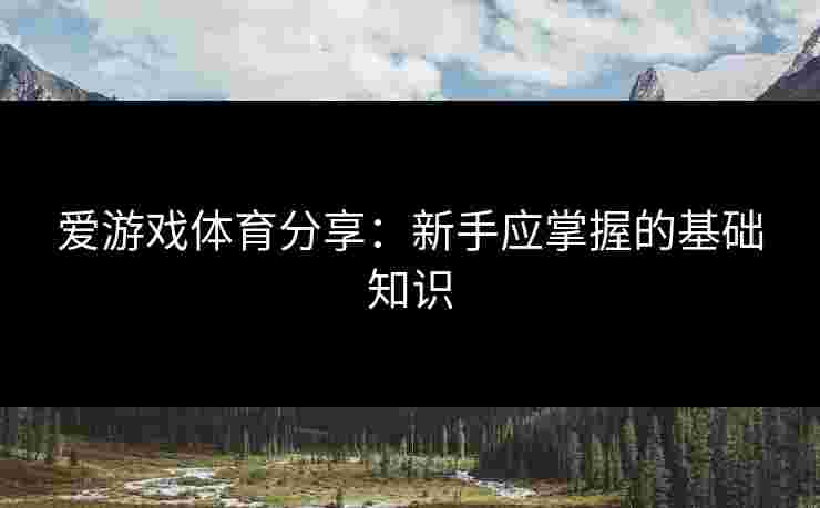 爱游戏体育分享：新手应掌握的基础知识