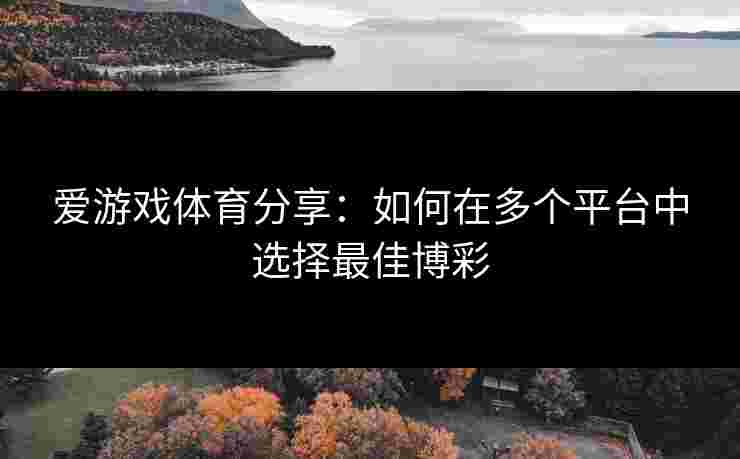 爱游戏体育分享：如何在多个平台中选择最佳博彩