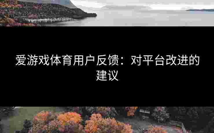 爱游戏体育用户反馈：对平台改进的建议