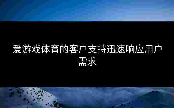 爱游戏体育的客户支持迅速响应用户需求