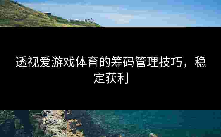 透视爱游戏体育的筹码管理技巧，稳定获利