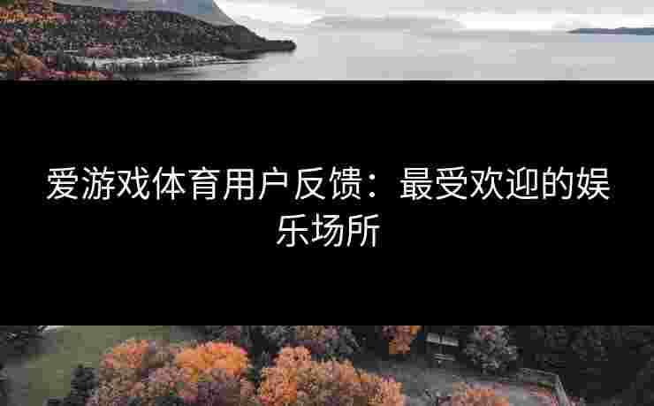 爱游戏体育用户反馈：最受欢迎的娱乐场所